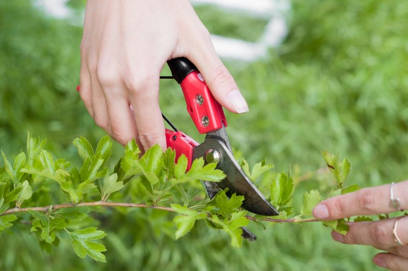 Close-up of Pruning Tools