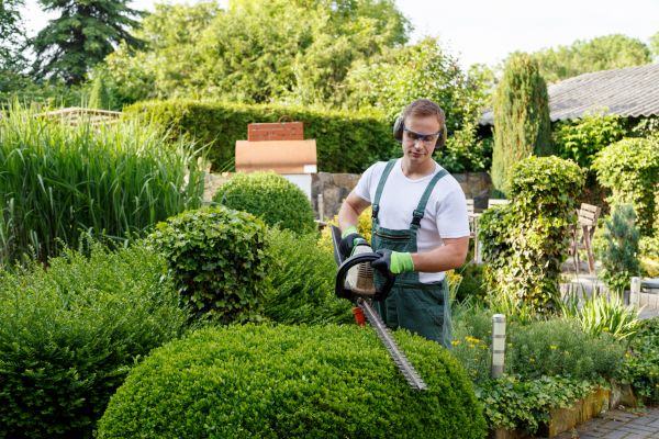 Cost of Shrubs Trimming in Colorado Springs